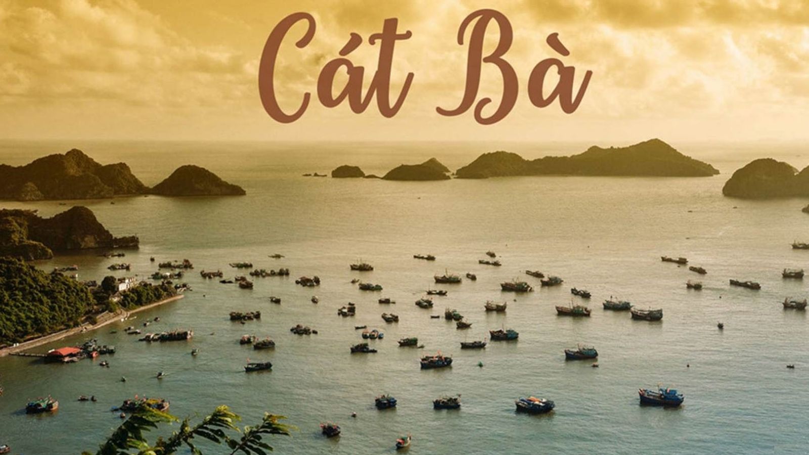 Du lịch Cát Bà- 2 ngày 1 đêm