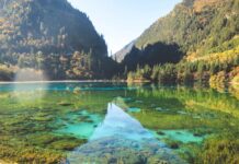 Where to Find Affordable Lodging in New York City